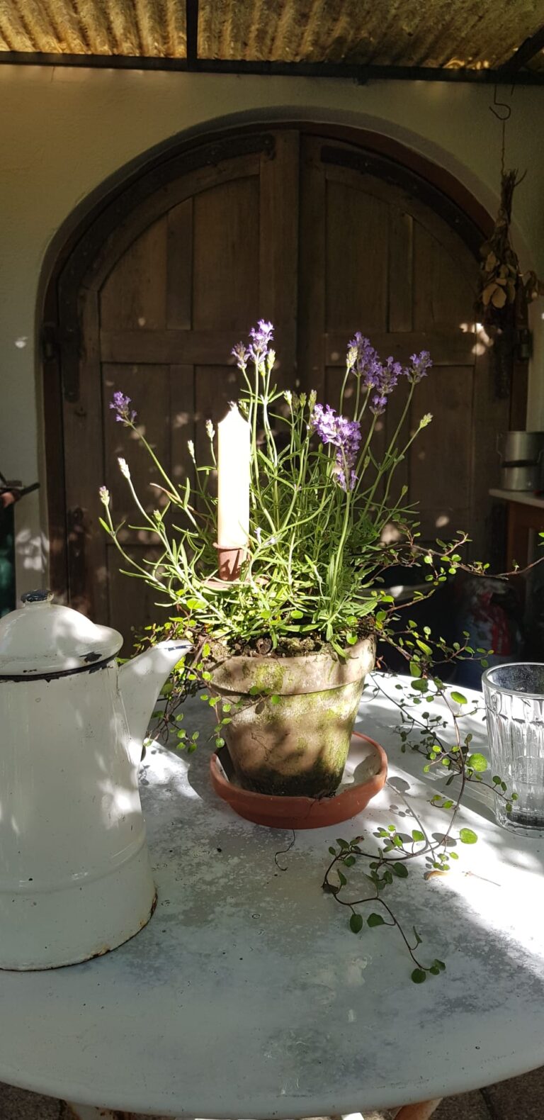 Geschenke & Wohnaccessoires für Haus und Garten